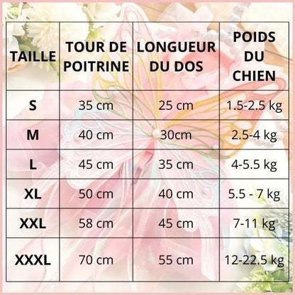 Deguisement chien |FéeCanine
