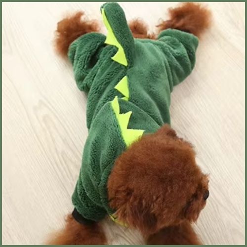 deguisement-pour-chien_en-dinosaure-caniche