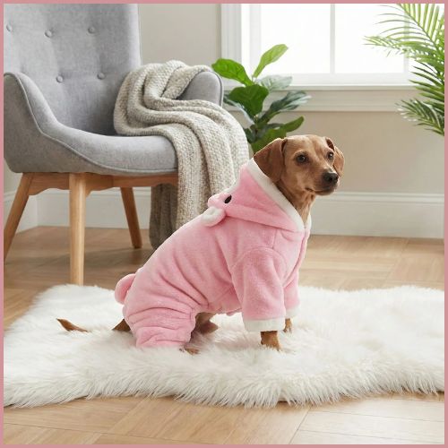 deguisement-pour-chien-en-cochon
