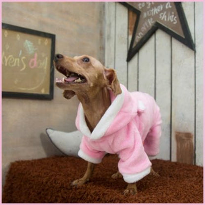 deguisement-pour-chien_en-cochon-fun