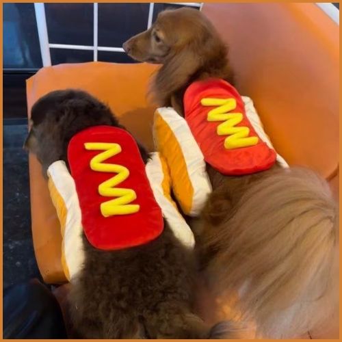 deguisement-pour-chien_en-forme-de-hot-dog-sauce