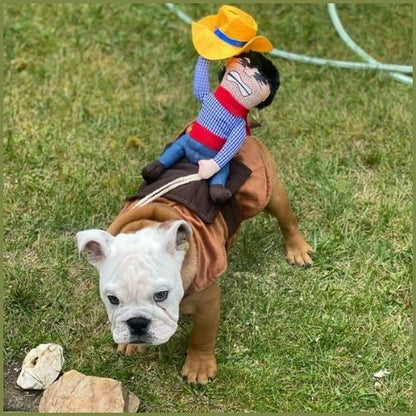 deguisement-pour-chien_en-cowboy-west