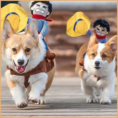 deguisement-pour-chien_en-cowboy-duo