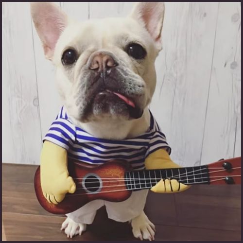 deguisement-pour-chiens-rock-avec-guitare-bleu