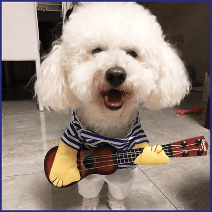 deguisement-pour-chiens-rock-avec-guitare-bichon