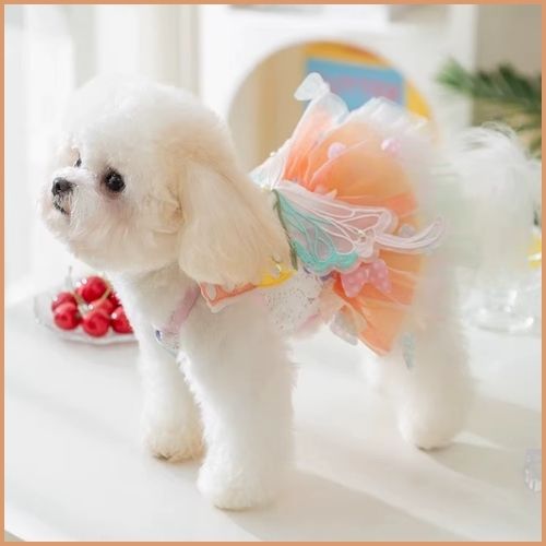 deguisements-pour-chien-en-fée-mignon