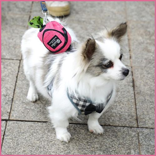 distributeur-sac-à-crotte_ multifonction-rose