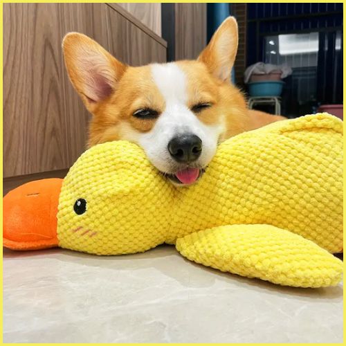 doudou-pour-chien_apaisant-anti-anxiété-canard