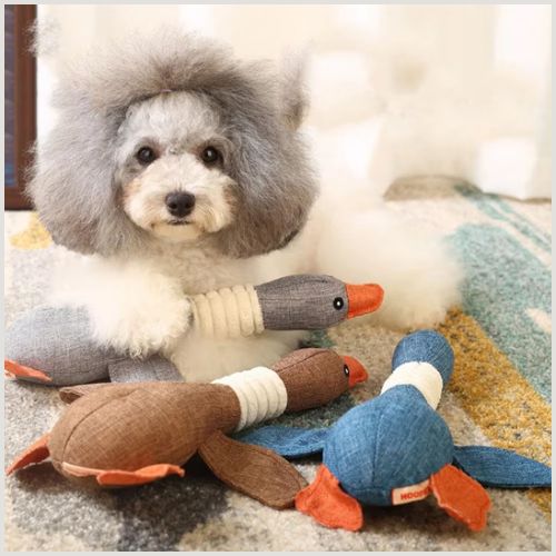 doudou-pour-chien_couineur-et-lavable-couleur