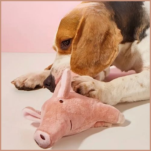 Doudou-pour-chien-jeu-et-câlin-cochon
