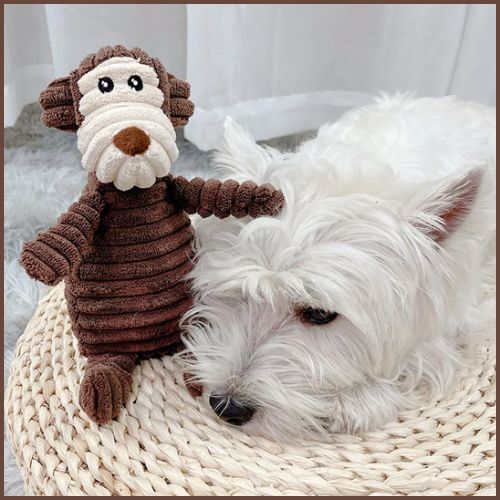 doudou-pour-chien_petit-et-moyen-doux-et-résistant-singe