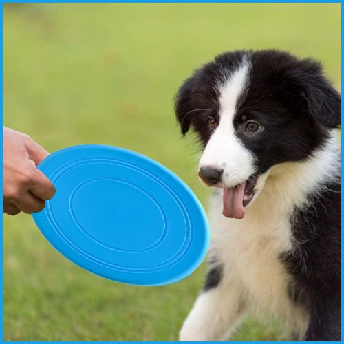 frisbee-chien_disque-volant-en-silicone-résistant-bleu