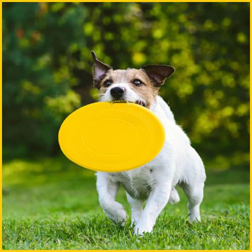 frisbee-chien_disque volant en silicone résistant-jaune