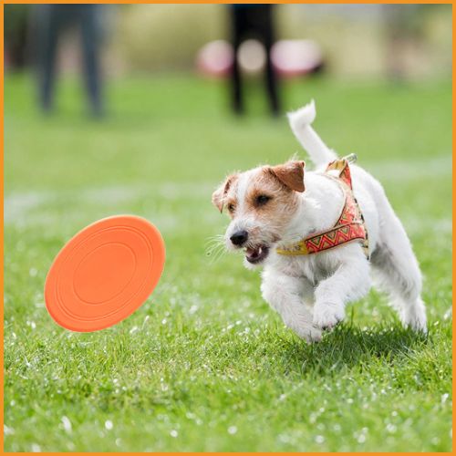 frisbee-chien_disque-volant-en-silicone-résistant-orange-clair