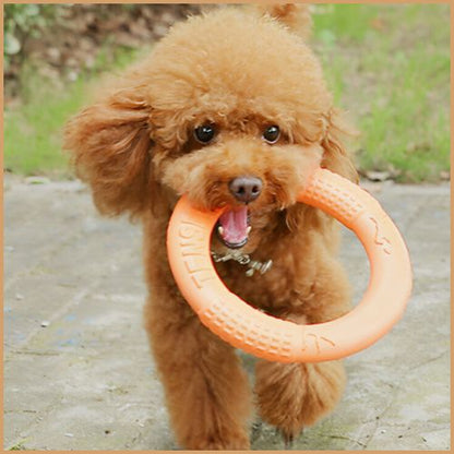 frisbee-chien_en-anneau-résistant-orange