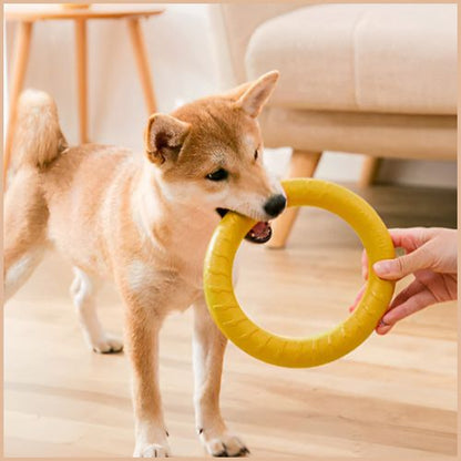 frisbee-chien_en-anneau-résistant-shiba-inu