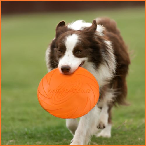 frisbee_chien_ silicone-durable-spéciale-jeux-aquatique-orange
