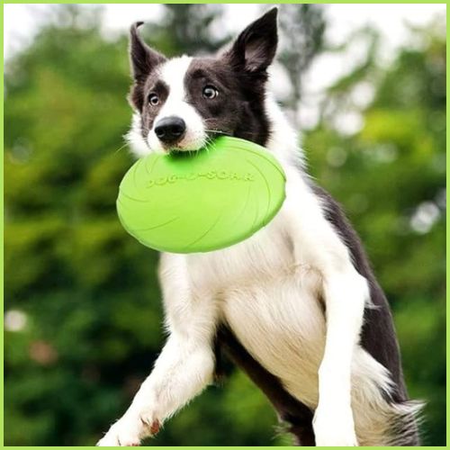 frisbee-chien_silicone-durable-spéciale-jeux-aquatique-vert