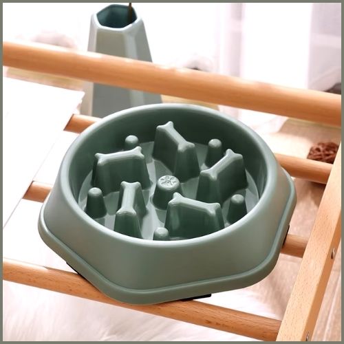 gamelle-anti-glouton-chien-sensible-à-la-digestion-vert