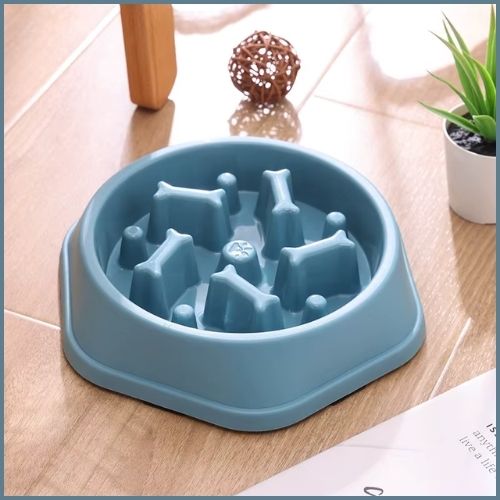 gamelle-anti-glouton-chien_sensible-à-la-digestion-bleu