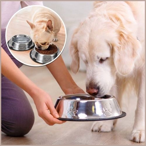gamelle-chien_en-inox-durable-labrador