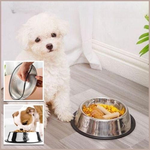 gamelle-chien_en-inox-durable-nourriture