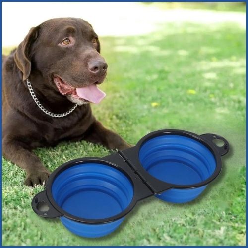 gamelle-pliable-chien-noir-bleu