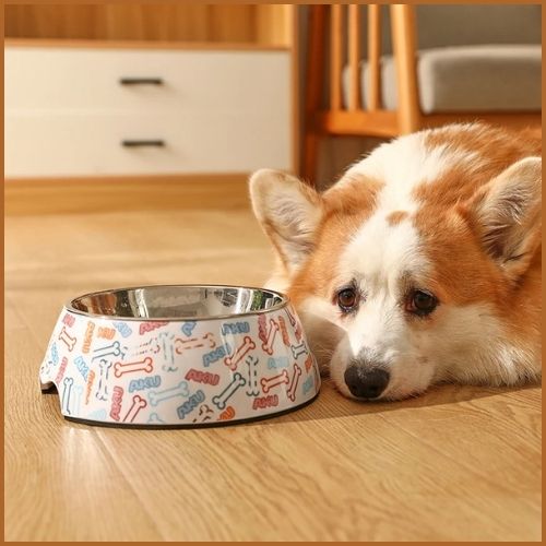 Gamelle-pour-chien-en-acier-inoxydable-deux-bols-2-en-1-blanc