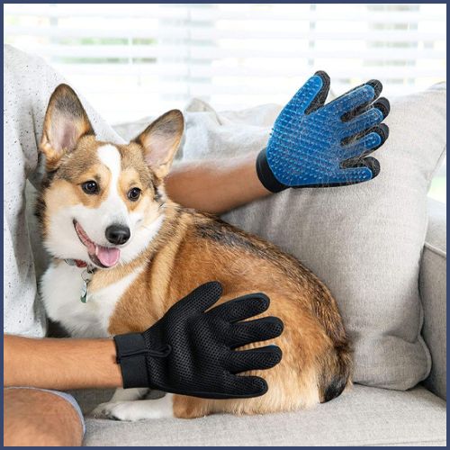 gant-poil-chien-2-en-1-bain-et-brossage-bleu