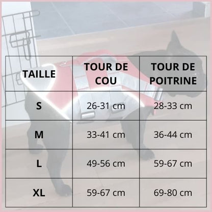 gilet-de-sauvetage-chien-anti-noyade-haute-visibilité