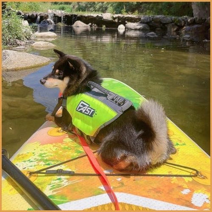 gilet-de-sauvetage-chien-réglable-taille-moyenne-et-grande-surf