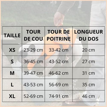 gilet-de-sauvetage-chien_baignade-mer-et-piscine-taille