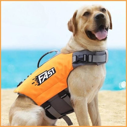 gilet-de-sauvetage-chien_réglable-taille-moyenne-et-grande-orange