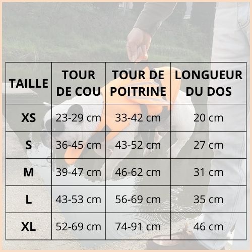 gilet-de-sauvetage-chien_taille