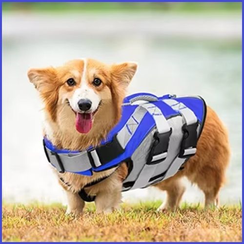 gilet-de-sauvetage-chiens-bleu