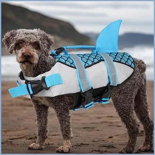 gilet-de-sauvetage-chiens_bleu