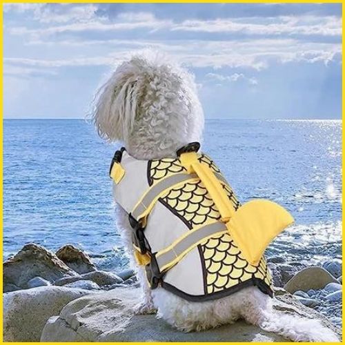 gilet-de-sauvetage-chiens_mer