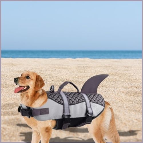 gilet-de-sauvetage-chiens_noir