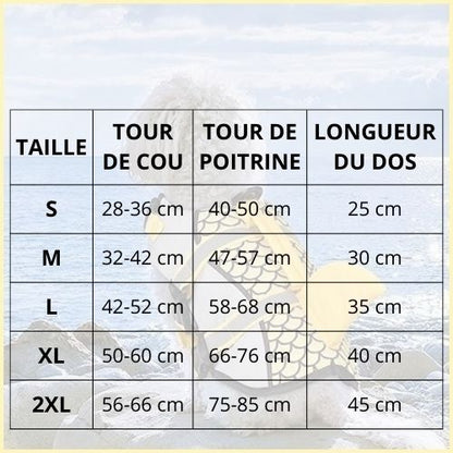 gilet-de-sauvetage-chiens_taille