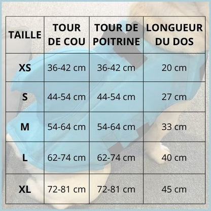 gilet-de-sauvetage-pour-chien-requin-haute-flottabilité-tailles
