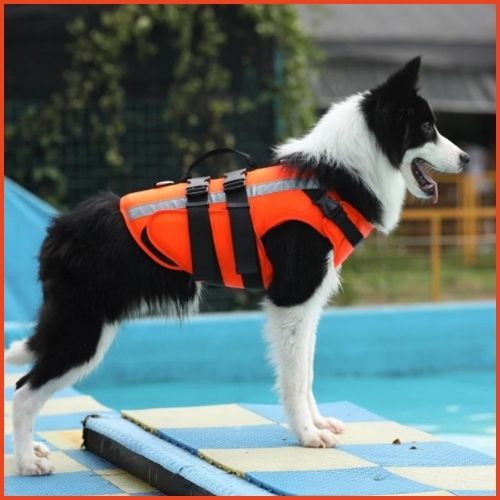 gilet-de-sauvetage-pour-chien-sport-nautique-kayak-paddle-orange