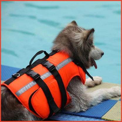 gilet_de-sauvetage-pour-chien-sport-nautique-kayak-paddle
