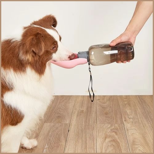 gourde-chien-800-ml-avec-abreuvoir-pratique-pour-balades-soif