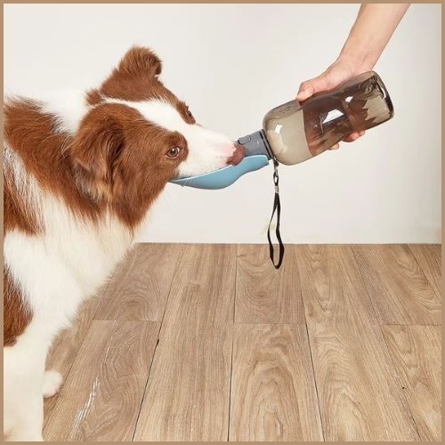 gourde-chien-800-ml-avec-abreuvoir-pratique-pour-balades-turquoise