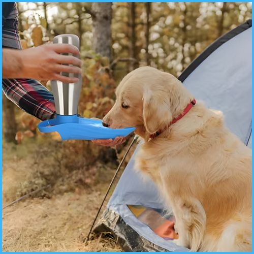 gourde-chien-isotherme-en-acier-inoxydable-avec-abreuvoir-bleu-tente
