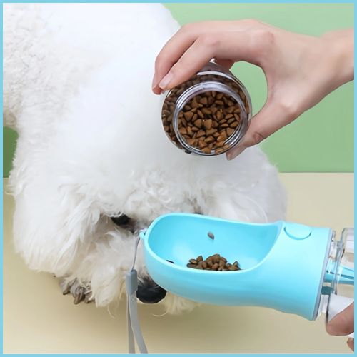 gourde-chien_2-en-1-anti-déversement-randonnée-bleu-blanc