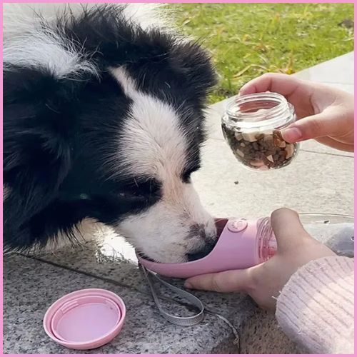 gourde-chien_2-en-1-anti-déversement-randonnée-rose