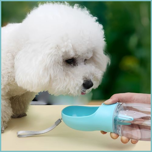 gourde-chien_2-en-1-anti-déversement-randonnée-turquoise