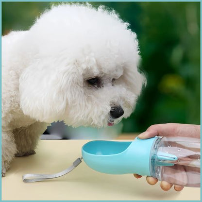 gourde-chien_2-en-1-anti-déversement-randonnée-turquoise