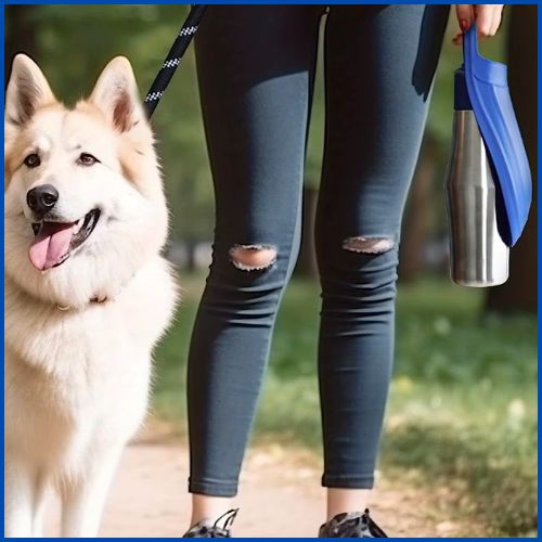 gourde-chien_isotherme-en-acier-inoxydable-avec-abreuvoir-bleu